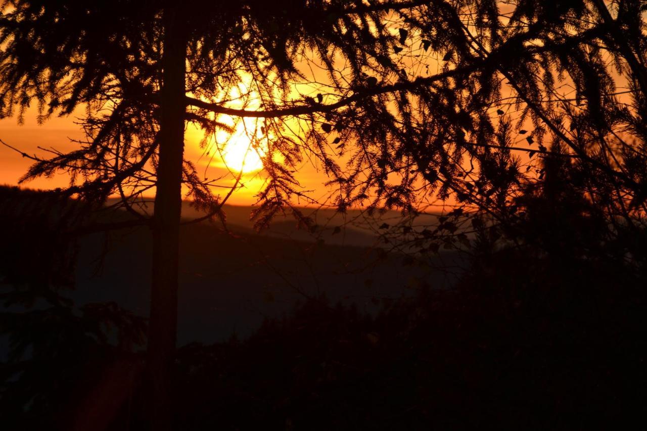 Erlebnispension Zum Wanderer Sepp Arnbruck Εξωτερικό φωτογραφία
